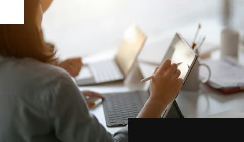 Ecommerce-Seo-Parallax